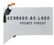 Projeto Cerrado - Asas Lab Bioeconomia